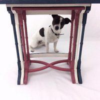Digger & Mojo (@diggerandmojo) 's Twitter Profile