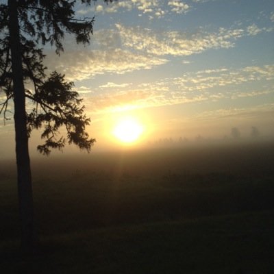 aliciamorrow_37's profile picture. 