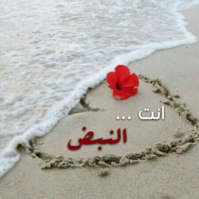 ‏‏‏عبارات راقت لي فوضعتها بقالب من اختياري .....