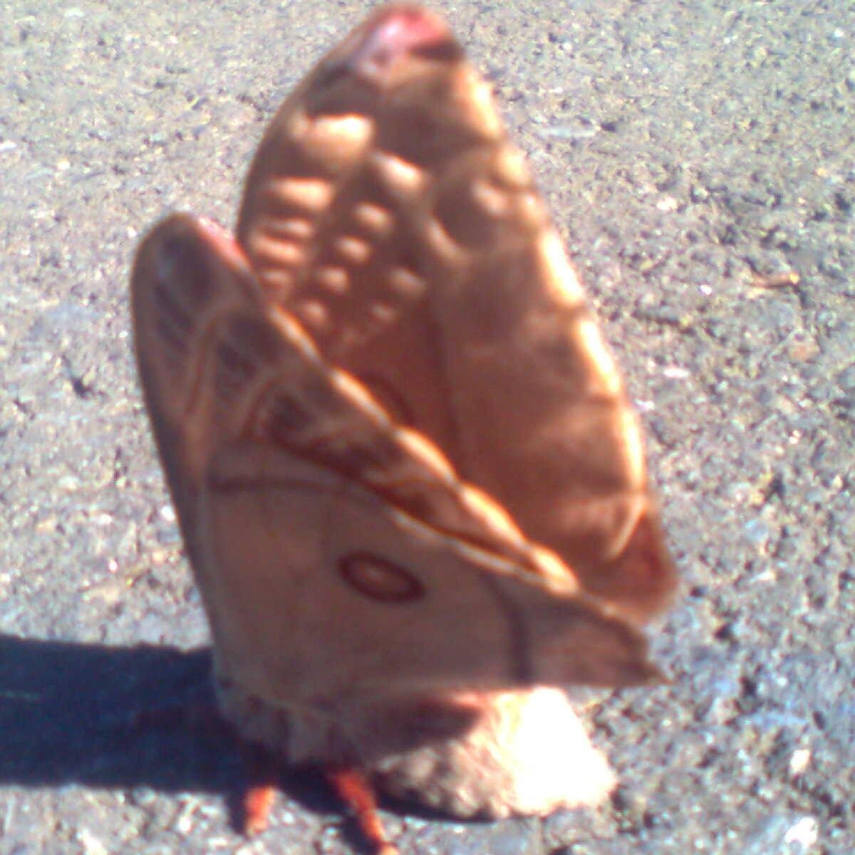 br_EACH's profile picture. 