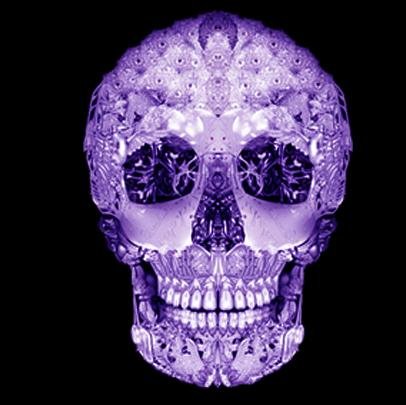 Skull themed Jewellery & Accessories