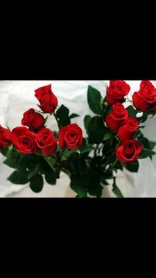 ‏اذا كثر الطلب على شيء باتا مكروهن