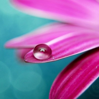 Health & Wellness. Health coach. Organic skin care.