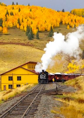 snsqlc1551's profile picture. 빛고을광주