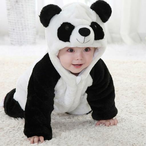 pandalandkz's profile picture. 