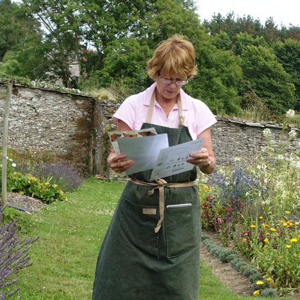 having created  a  pollinator  friendly environment in 15 acre garden,  we want to become a bee education centre