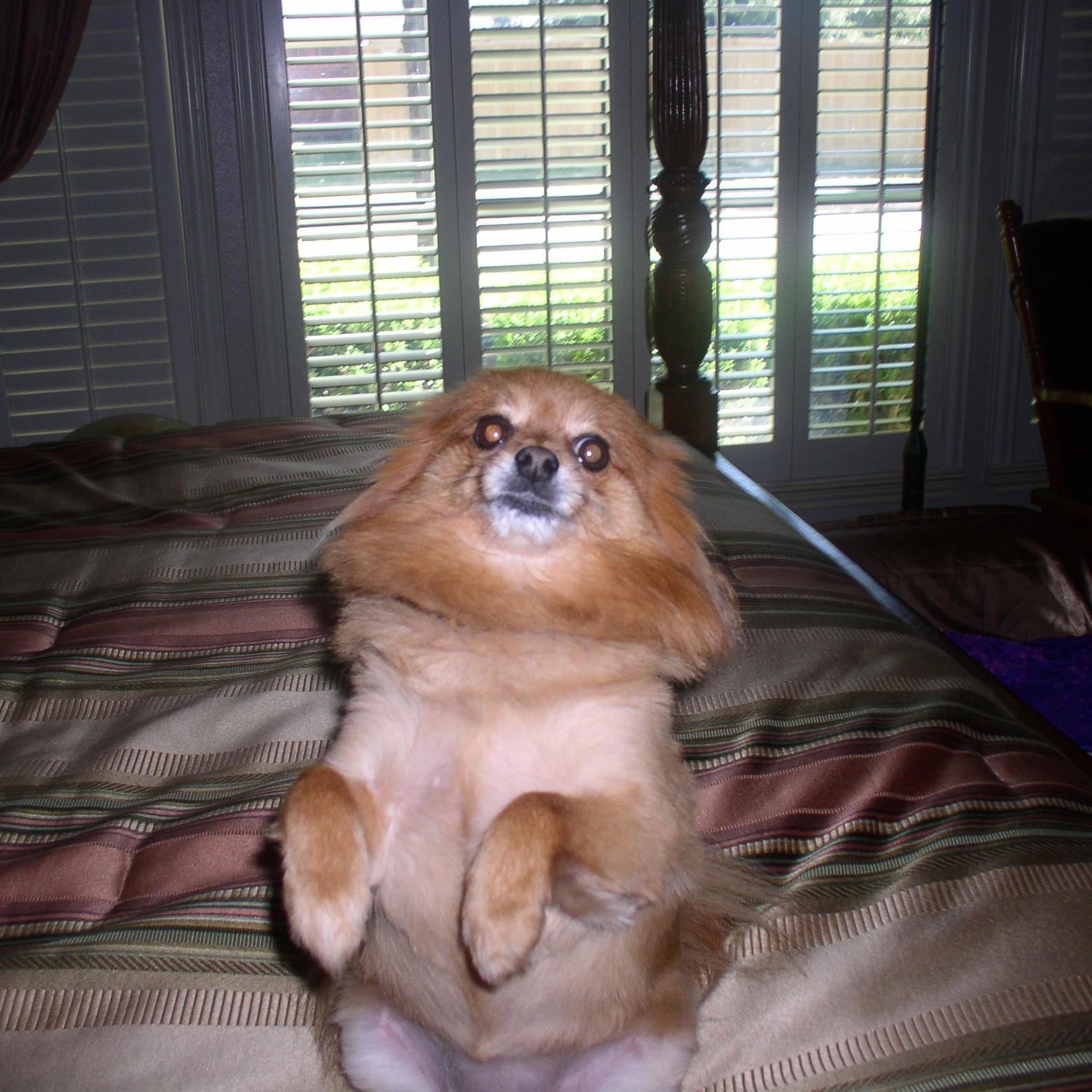 PAYITFORWARDCAP's profile picture. 44 years handicapping football experience