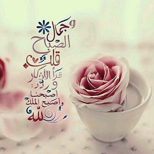 evnur71's profile picture. 