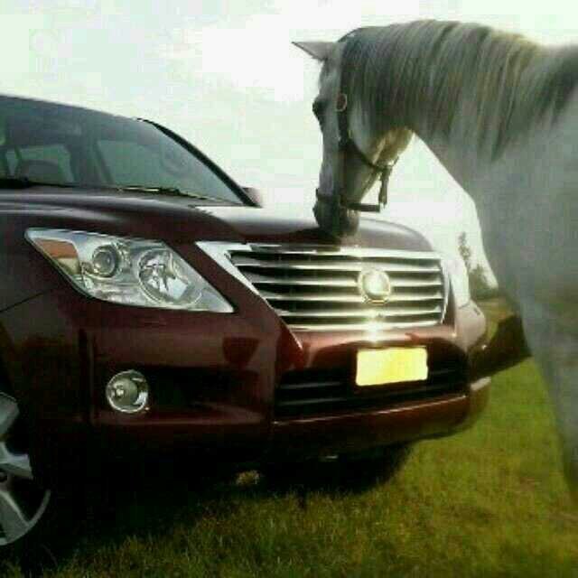 تدري متى تفتـل الفرقا شواربها
لاشح وصل الرفيق وكثرت اعذارهه
وصكــات بـقـعـا تعلمنـا تجـاربها
إن الليــالي مع الوافين غـدارهه
#القحطاني