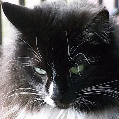 フリーライターGroup O'zです。
綺麗なもの美しいものは心の栄養ですね。
リツイートマシン化してる今日この頃。
Hello^^ I'm Japanese writer^^ I like beautiful things^^