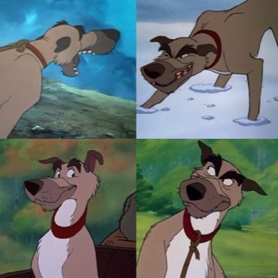 Im Chief my owner is Amos, friends with Tod and Copper, my best friends are @BruteSteele and @WolfDog_Balto , I also joined the sled team.Wife: @Beautiful_Dixie