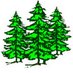 Black Firs (@blackfirsschool) Twitter profile photo Black Firs (@blackfirsschool) Twitter profile photo