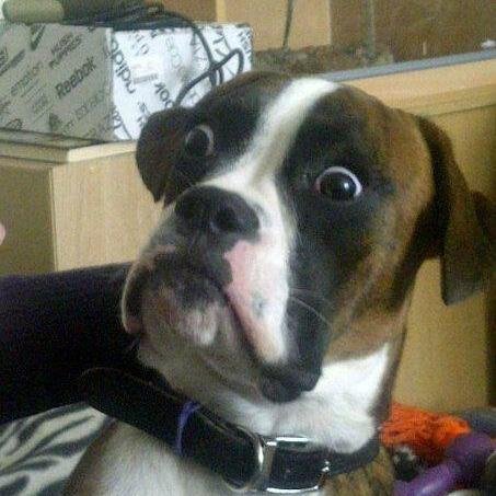 sofunnylikethat's profile picture. Laughing is good for you. We tweet 24/24 eatch 30 min one tweet