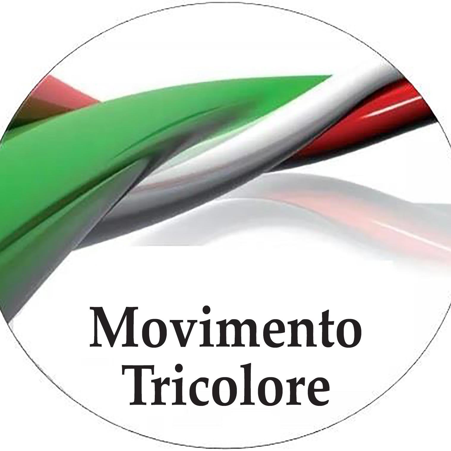 ASSOCIAZIONE PER I DIRITTI DEGLI ITALIANI - Aiutateci a far sentire la vostra voce - info@movimentotricolore.it cercaci su Facebook  #insiemesipuo'