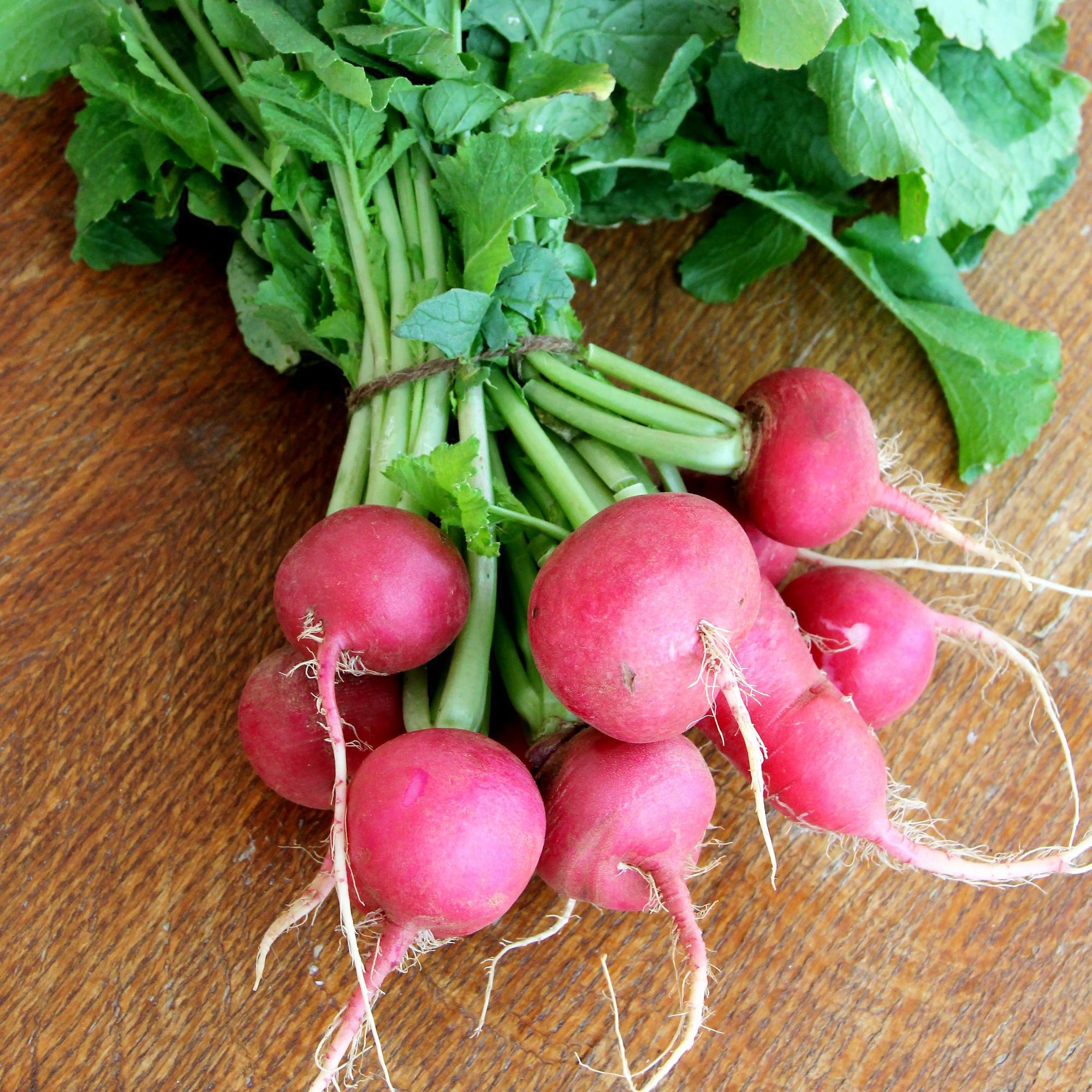 atourtable's profile picture. 