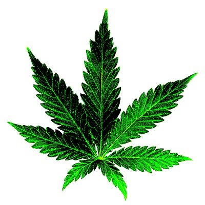 THE BEST PICKS OF WEED! Envianos tu foto de weed o fumando ORIGINAL y te la subimos! THE BEST OF CANNABIS