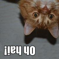 0h_hai's profile picture. 