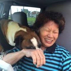 Mom. Grandma. Florist. Pet crazy.. Ghostwritten in my voice by my daughter @Irenemchin