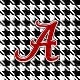 Born & raised in Tuscaloosa County, AL. LOVE Alabama football. Paranormal investigator,aspiring writer,amateur photographer,total smartass & stuff and thangs.