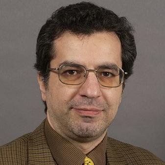 Professor of Software Engineering, University of Calgary, Calgary, Alberta, Canada