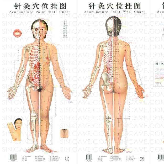 AcupuncturePowr's profile picture. 