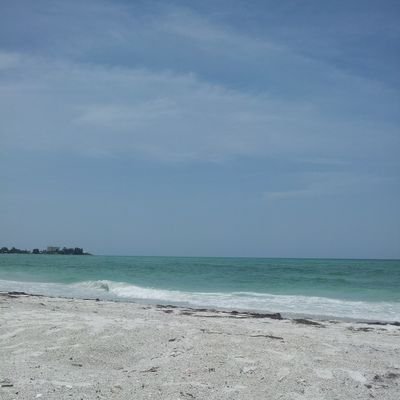 M_Dankenbring's profile picture. 