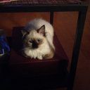 Marc Acosta Quilez - @elcharrosalmant - Twitter