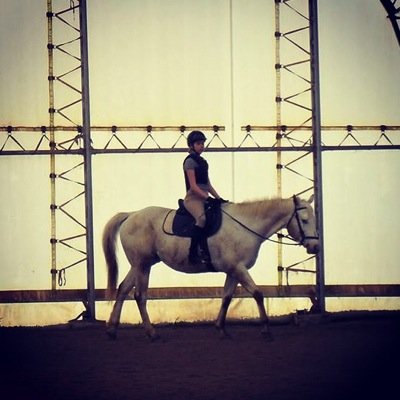 There are only two emotions that belong in the saddle; one is a sense of humour, and the other is patience. ~John Lyons
Blue/Horses/English Riding/