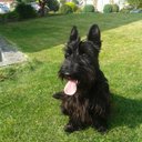 Alistair Hill - @alistairhill123 - Twitter