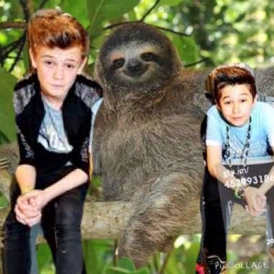 Hello This is a sloth crew charlie lenehans sloth, Guys go follow my personal! Xocerys:). Over load follow- 14/9/14 9:07 Bam follow- 9:34 16/9/14