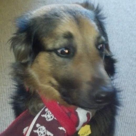 SBHSilver's profile picture. 