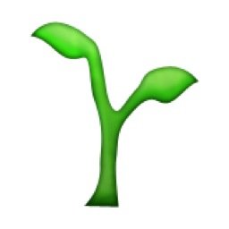 apathetic plant. likes: photosynthesising. dislikes: everything else. i follow back.