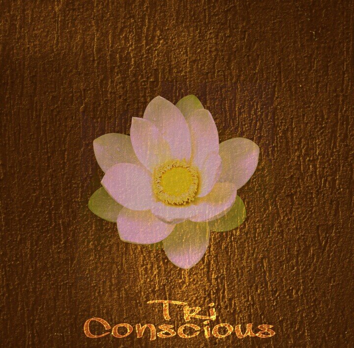 Listen, Believe, Conceive......... Meditation & Relaxation music/ binaural beats/ Soundscapes.
