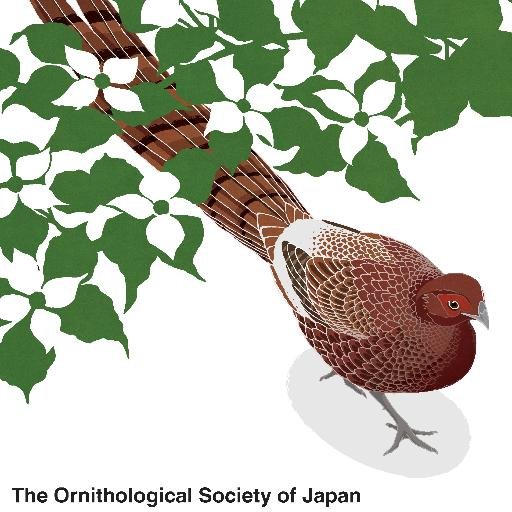 Ornithological Science is the official journal of the Ornithological Society of Japan, and publishes scientific papers covering all aspects of ornithology.