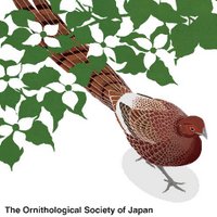 OrnithologicalSci (@ornithsci) 's Twitter Profile
