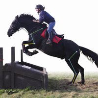 Debbie Nash (@dlsequine) 's Twitter Profile Photo Debbie Nash (@dlsequine) 's Twitter Profile Photo