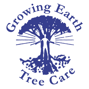 Award-winning tree care in Northern VA since 1976!