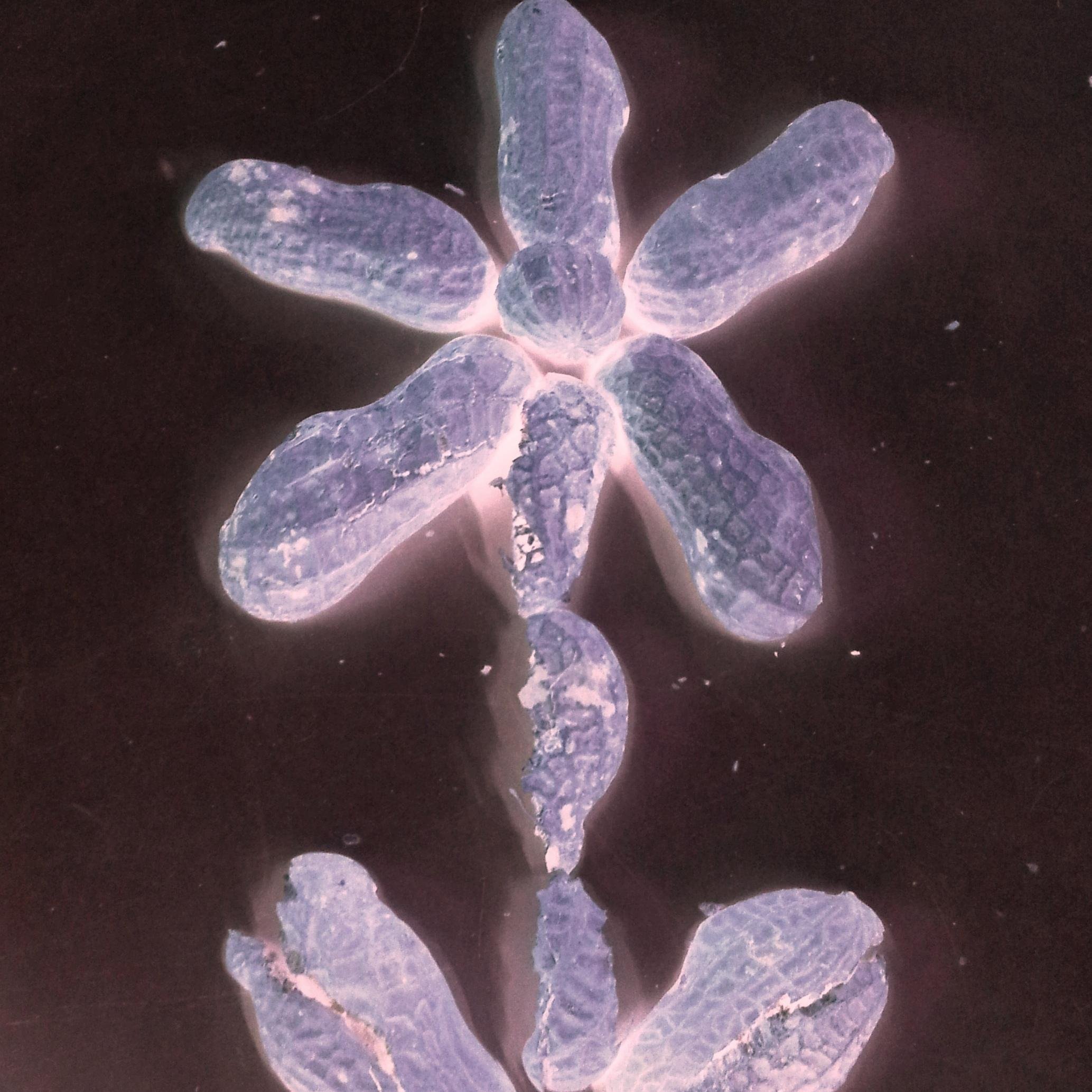 ParnikaBagla's profile picture. 