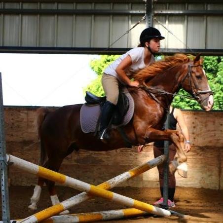 rico love you so muchh best horse of my life