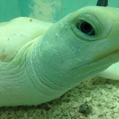 jmorris49's profile picture. Chief Technology Officer @ CRCS.         FallingIsLearning.                           ItIsNotAboutTheUnplannedGetOff.  ItIsAboutTheRecovery.