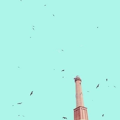 يا روحاً احببتها من دون لقاء
@_xlativva