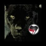 AnarPanther's profile picture. Musulman converti convaincu du bien fondé de l'anarchisme et de l'abolition de la monnaie. Antifasciste viscéral. لآ اِلَـهَ اِلاَّ لله محمد رسول الله