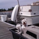 Carol Buckler - @bcbb6cb6 - Twitter