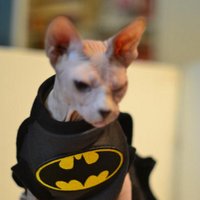 jedichingona (@jedichingona) 's Twitter Profile Photo jedichingona (@jedichingona) 's Twitter Profile Photo