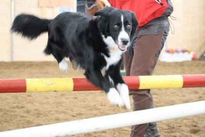 melarbr's profile picture. 