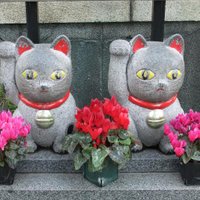 吉田イサオ (@y130a) 's Twitter Profile