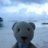 Lulli_fux's profile image