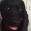 James Collier - @gsvbecks - Twitter