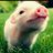mas_kai_61's profile image
