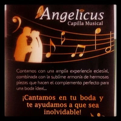 Cantoentuboda's profile picture. ¿Quieren una BODA inolvidable? la MÚSICA de la celebración REALZA la unión esponsal. Cantantes y músicos para el matrimonio en contacto.PLANIFICA y RESERVA día